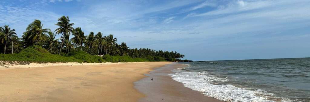 kannnur homestay near bus stand